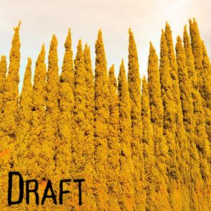 Draft
