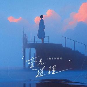 毫无道理 (DJ版)1.2x版