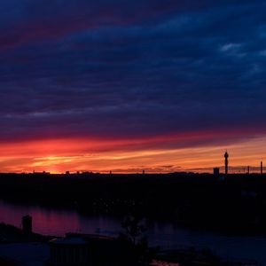 只要找一颗自己喜欢的