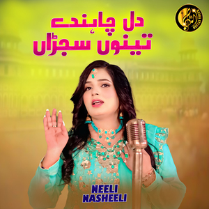 Dil Chahnde Tenu Sajran