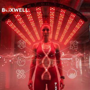 Boxwell: Hücresel Devrim