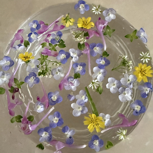 把春天装进水杯