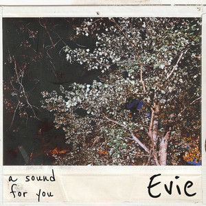 Evie