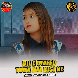 Dil E Umeed Toda Hai Kisi Ne (1)