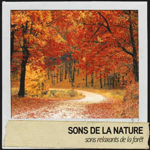 Nature verte et vivante