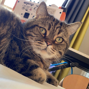 彩虹故事.云（吉他弹唱版）