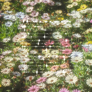 雪花漫天飞舞（Prod.EVOMUSIC&Siren）