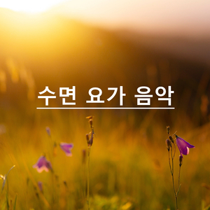 미스터리 오아시스