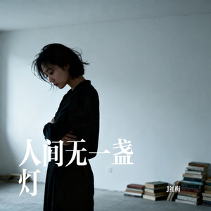 人间无一盏灯
