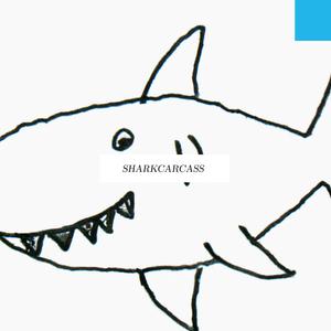 Hello shark
