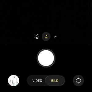 Döende (kackerlacka)