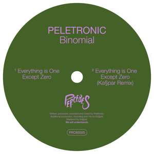 Everything Is One Except Zero (Ka§par’s Zanzidub)