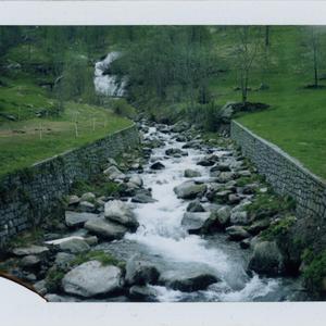 旅行青蛙（阿卡贝拉版）