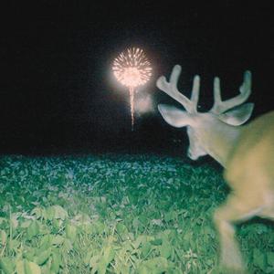 asla var olmayacak bir yer