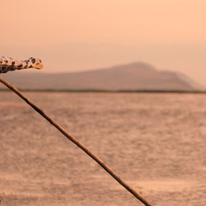 拧巴的我冷落你却伤了自己