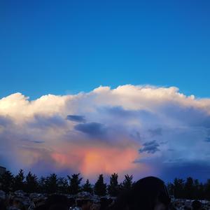 尾号6208(翻自：严浩翔）