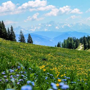 Blooming with vitality