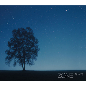 白い花 (Backing Track)