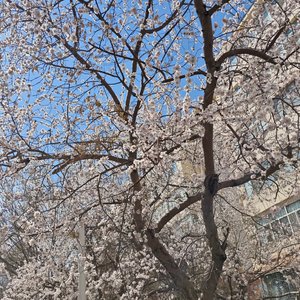 世间美好与你环环相扣