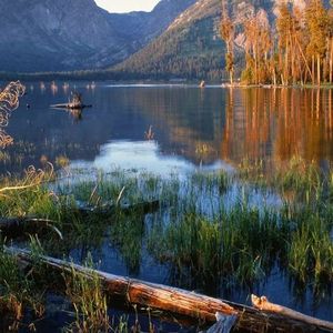 我的爱秋天 伴奏