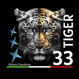 TIGER 33