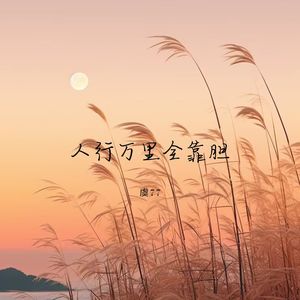 一下雪就想起你