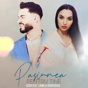 Pasiunea pentru tine (Remix)