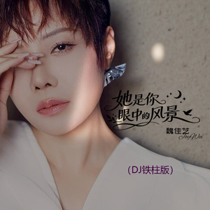 她是你眼中的风景（DJ铁柱版）