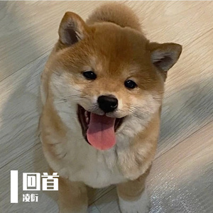 楼梯转角光