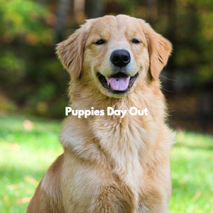 Wonderful Duo - Vibe for Great Things