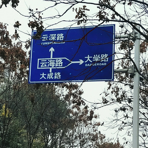 大学路8号