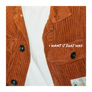 I Want It That Way