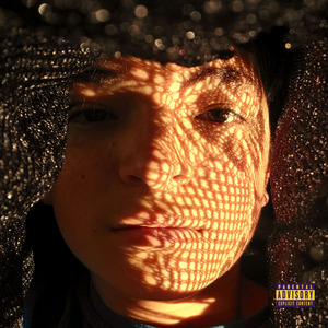 Tomaré Tequila Hasta Caer