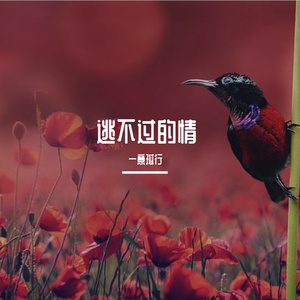 总圾锁