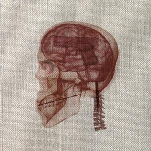 The Sky Is Falling In