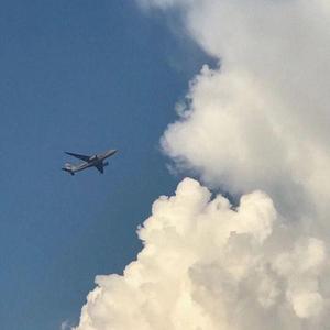 道理的道理（翻自 沈以诚）