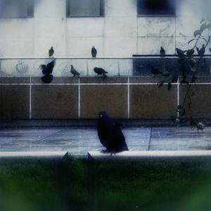 empires for each other