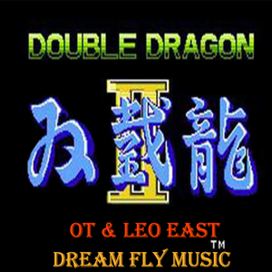 The Double Dragon （双截龙）