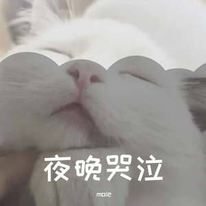 夜晚山峰吹风我在等你（Prod. By DRP project）