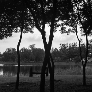 ไม่เชื่อในความรักอีก