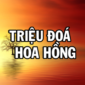 Triệu Đóa Hoa Hồng (Pop Hòa Tấu)