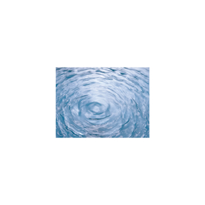 Silurian & Joy (Original Mix)