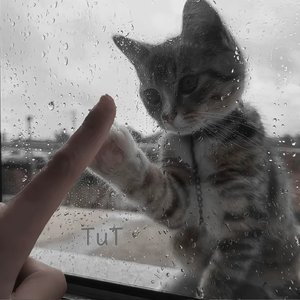 死亡前的高歌于悲鸣