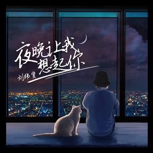 夜晚让我想起你