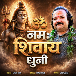 Om Namah Shivay Dhuni