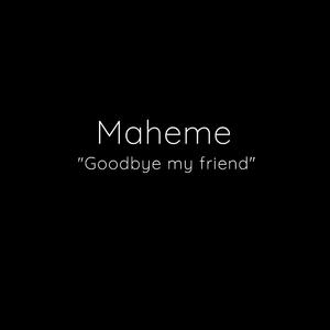 Goodbye my friend