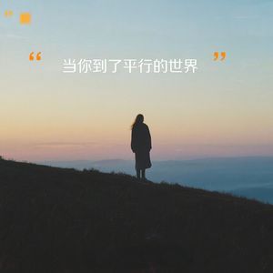当你到了平行的世界