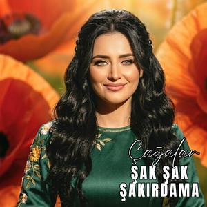 ŞAK ŞAK ŞAKIRDAMA