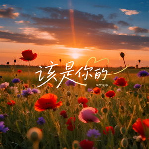 该是你的