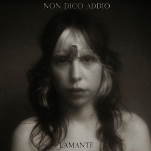 Ritorneremo a guardare il Cielo